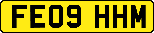 FE09HHM