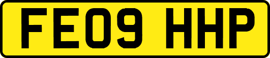 FE09HHP