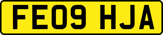 FE09HJA