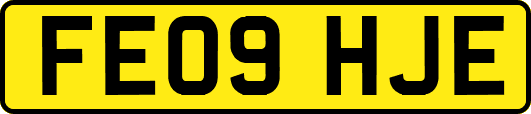 FE09HJE