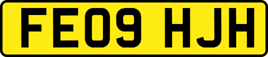 FE09HJH