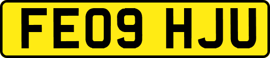 FE09HJU