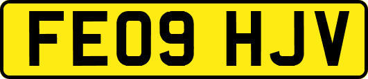 FE09HJV