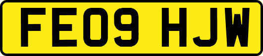 FE09HJW