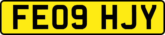 FE09HJY