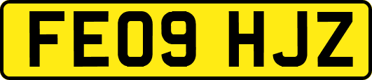 FE09HJZ
