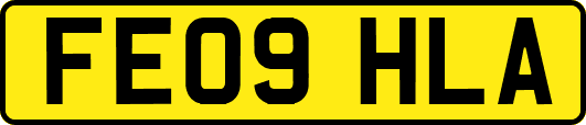 FE09HLA
