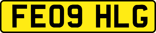 FE09HLG