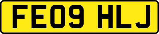 FE09HLJ