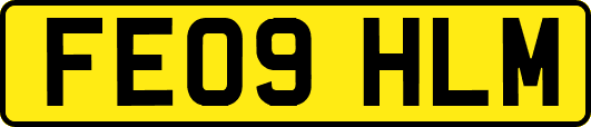 FE09HLM