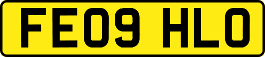 FE09HLO