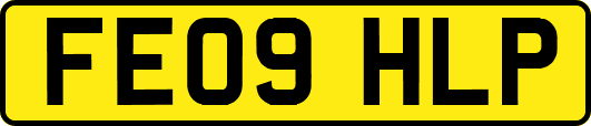 FE09HLP