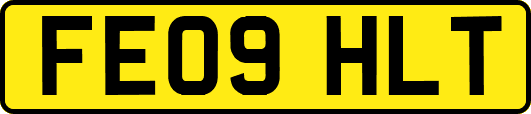 FE09HLT