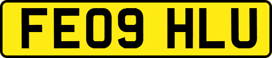 FE09HLU