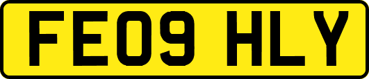 FE09HLY