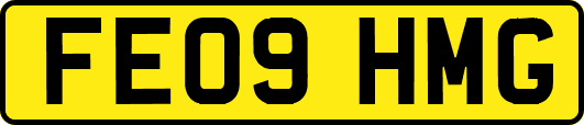 FE09HMG