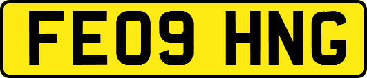 FE09HNG