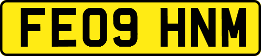 FE09HNM