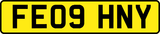 FE09HNY
