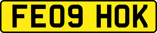 FE09HOK