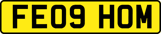 FE09HOM