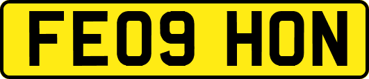 FE09HON