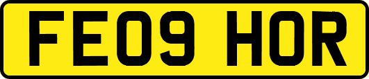 FE09HOR