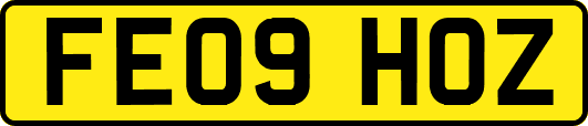 FE09HOZ