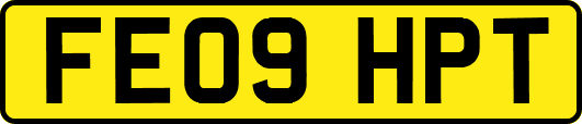 FE09HPT