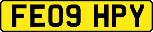 FE09HPY