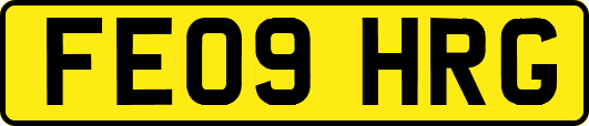 FE09HRG