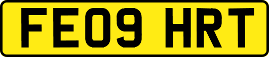 FE09HRT