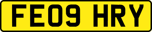 FE09HRY