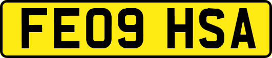 FE09HSA