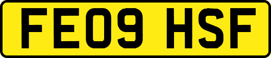 FE09HSF