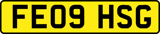 FE09HSG