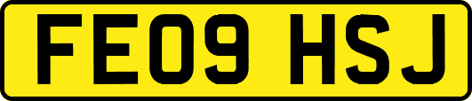 FE09HSJ