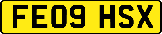 FE09HSX