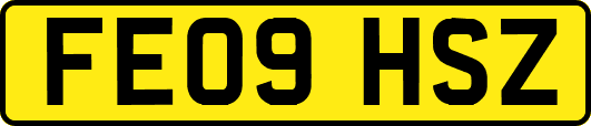 FE09HSZ