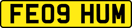 FE09HUM