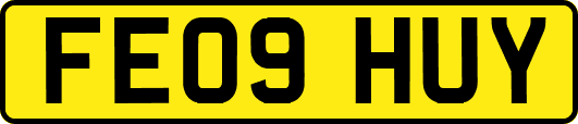 FE09HUY