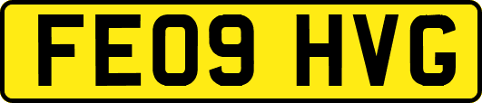 FE09HVG