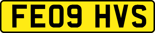 FE09HVS