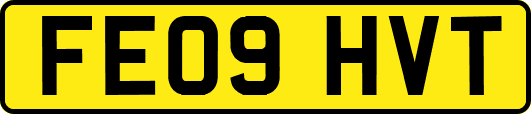 FE09HVT