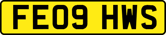 FE09HWS