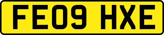 FE09HXE