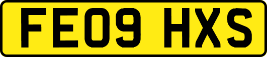 FE09HXS