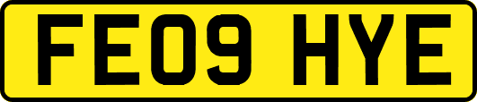 FE09HYE