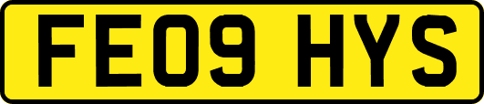 FE09HYS