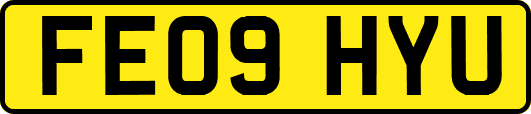 FE09HYU